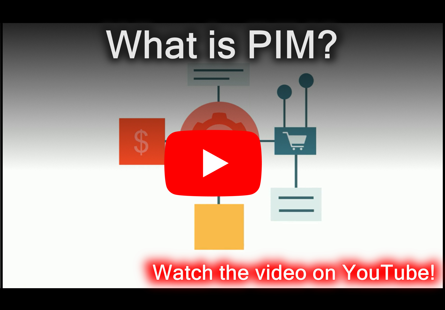 Video thumbnail for What is PIM?